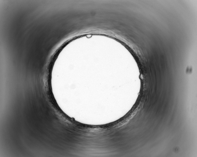 X0000103451502200810101115