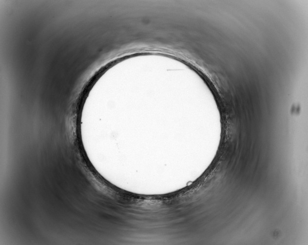 X0000103451503200810101115