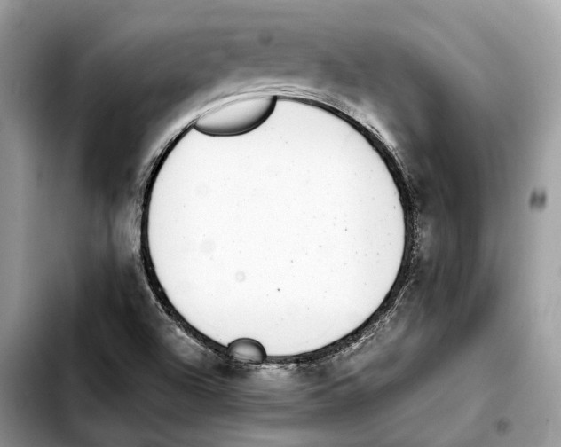 X0000103451504200810101115