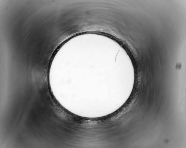 X0000103451505200810101115