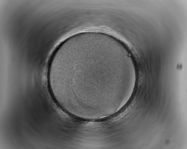 X0000103451506200810101115