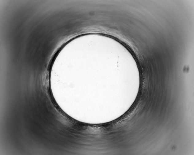 X0000103451509200810101115