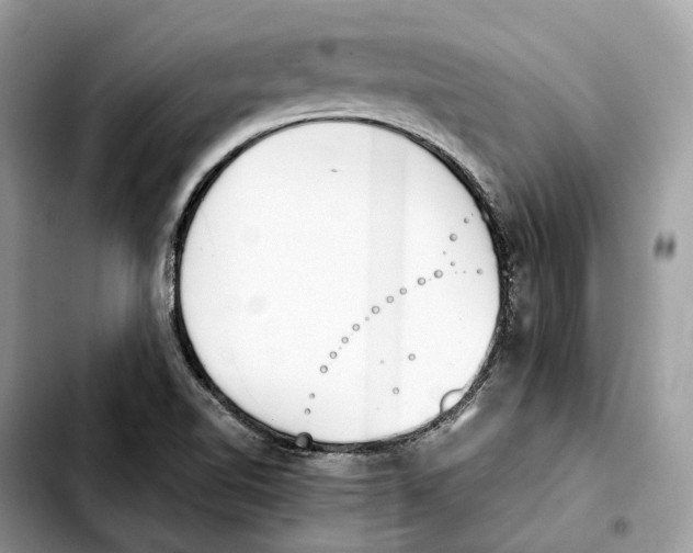 X0000103451510200810101115