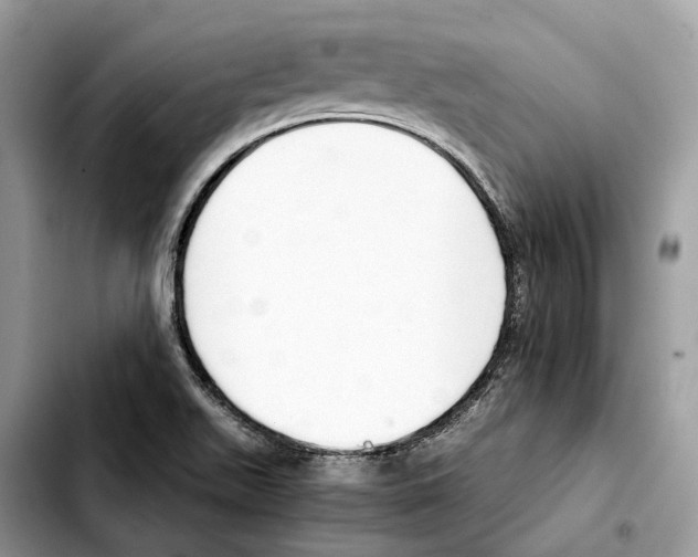 X0000103451511200810101116