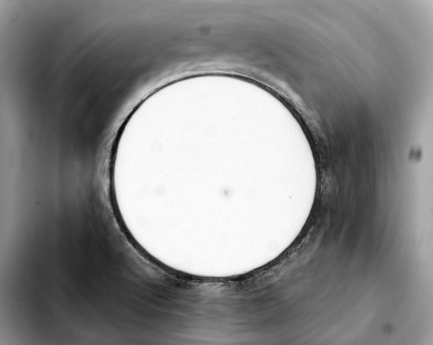 X0000103451512200810101116