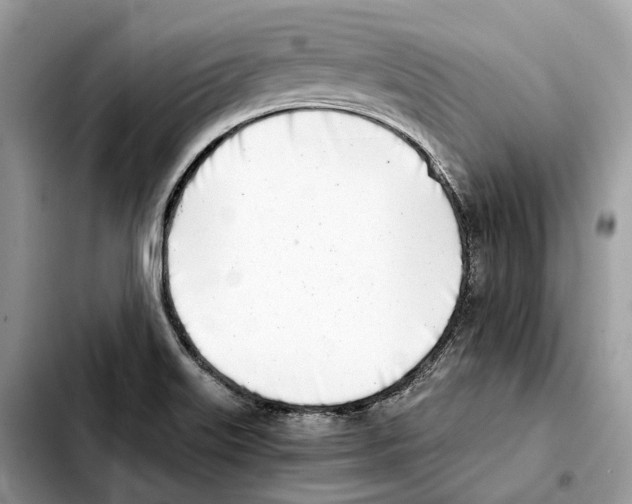 X0000103451515200810101116