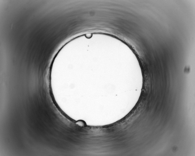 X0000103451516200810101116