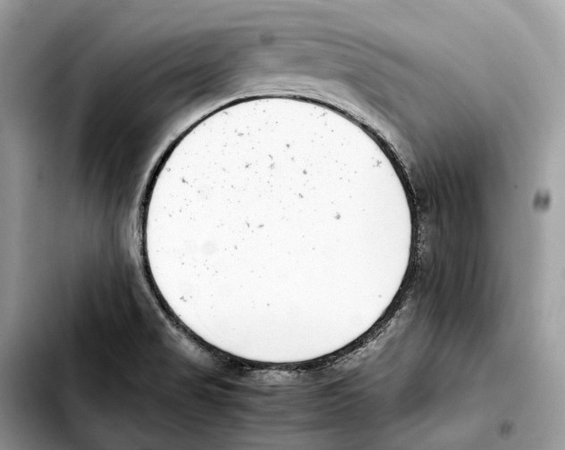 X0000103451517200810101116