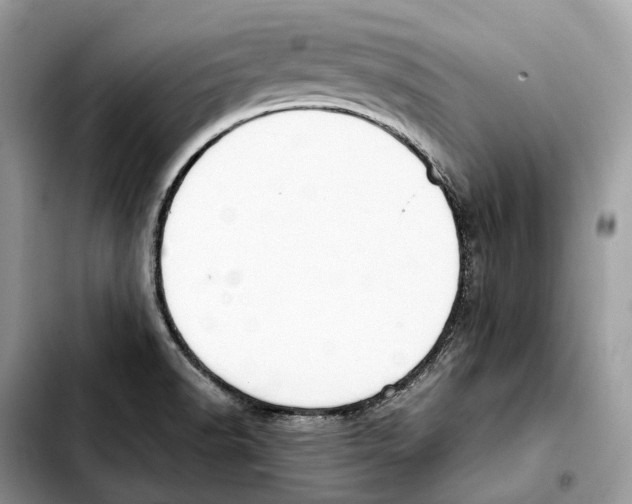 X0000103451518200810101116