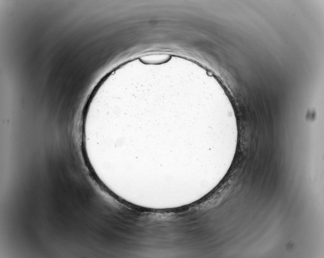 X0000103451519200810101116