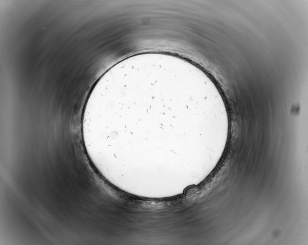 X0000103451521200810101116