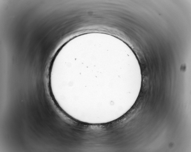 X0000103451523200810101116