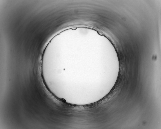 X0000103451524200810101116