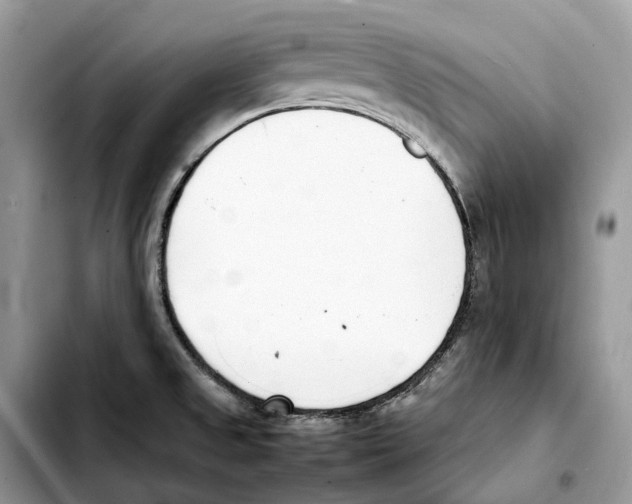 X0000103451525200810101116