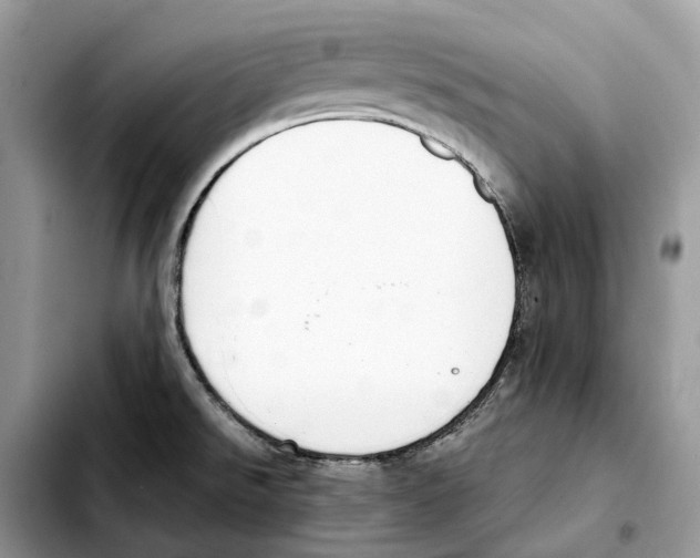 X0000103451526200810101116