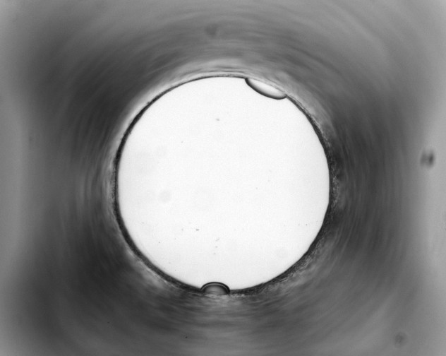 X0000103451527200810101116