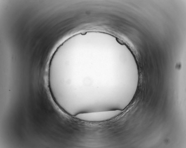 X0000103451528200810101116