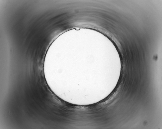 X0000103451529200810101116