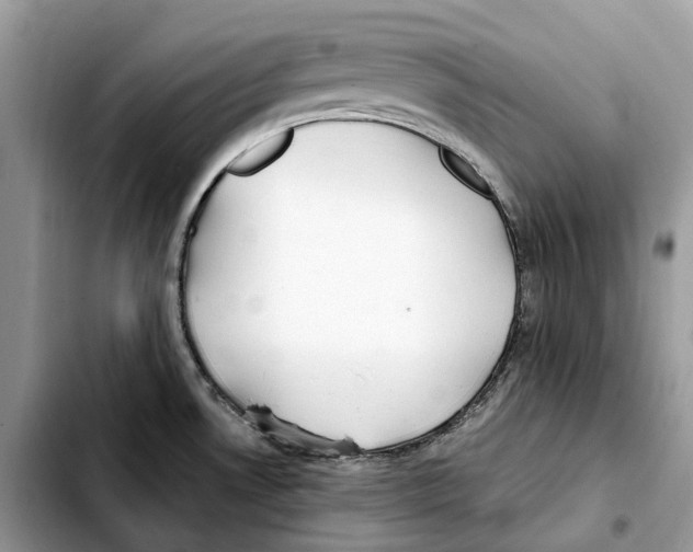 X0000103451530200810101116