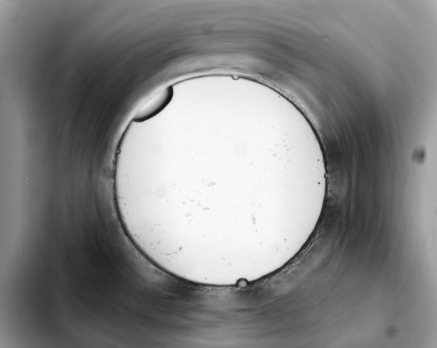 X0000103451532200810101116