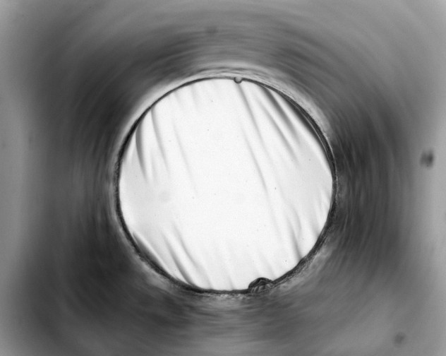 X0000103451533200810101116