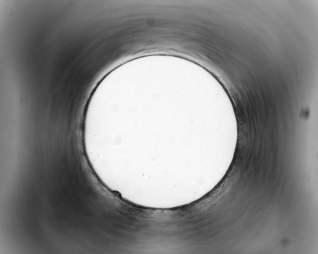 X0000103451534200810101116