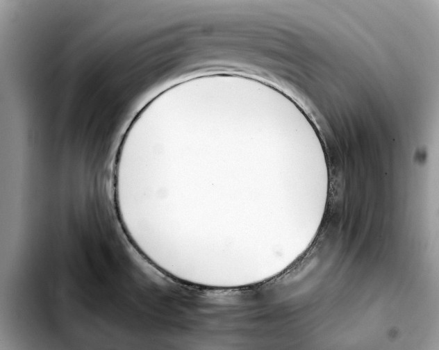 X0000103451535200810101116