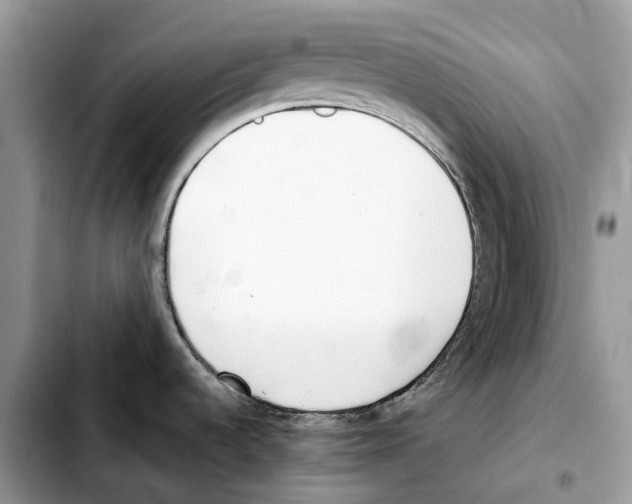 X0000103451536200810101116