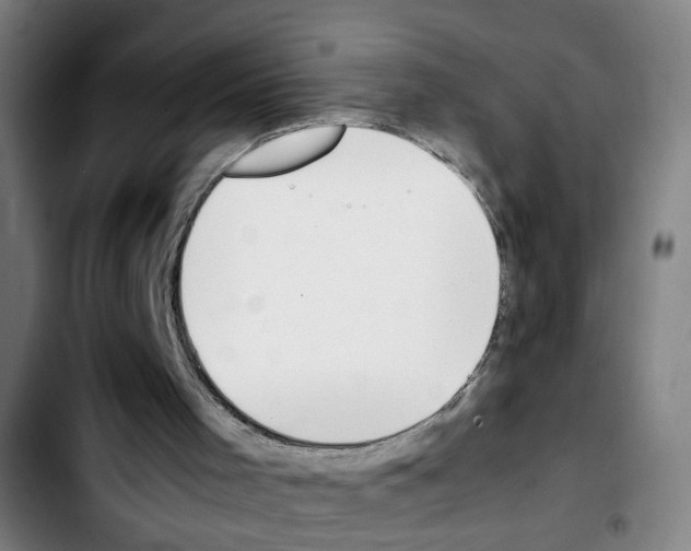 X0000103450001200810241156