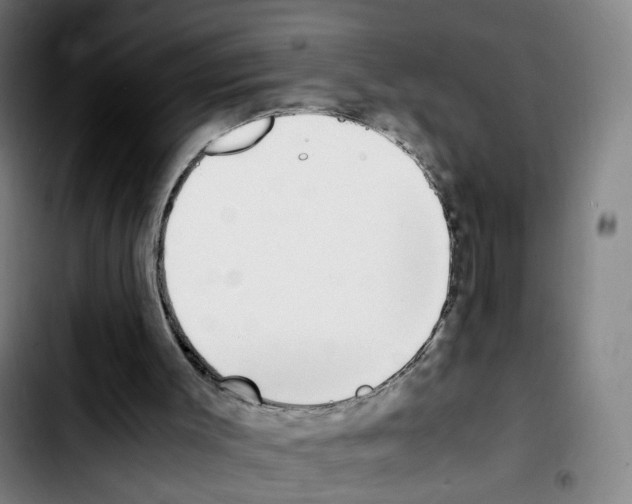 X0000103450003200810241156