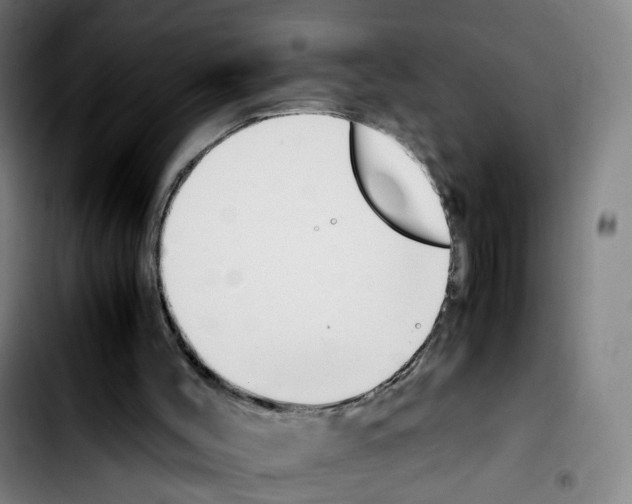 X0000103450004200810241156