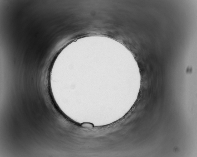 X0000103450005200810241156