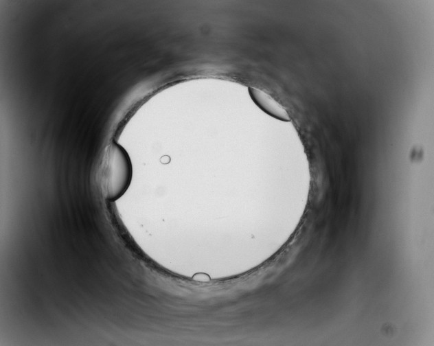 X0000103450006200810241156