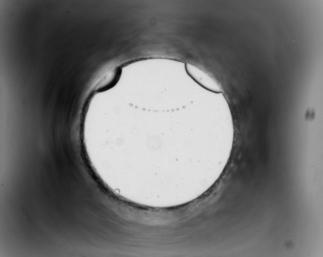 X0000103450008200810241156