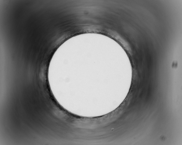 X0000103450009200810241156