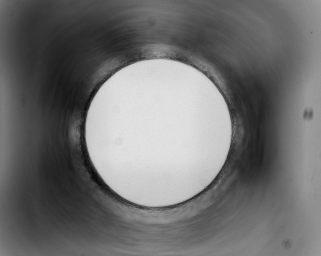 X0000103450010200810241156