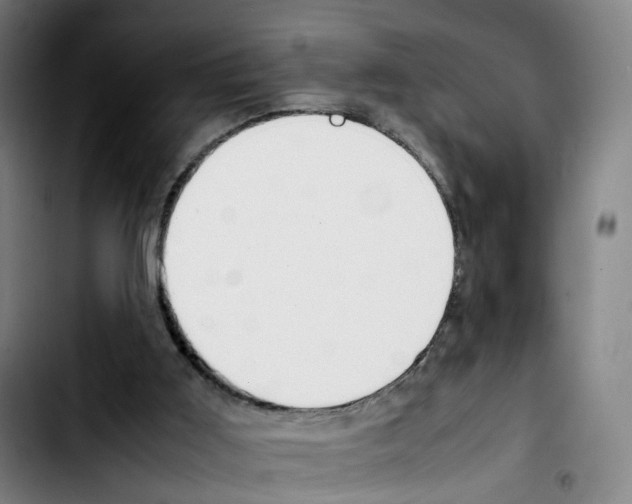 X0000103450011200810241156