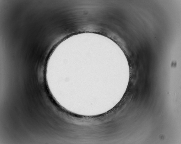 X0000103450012200810241156