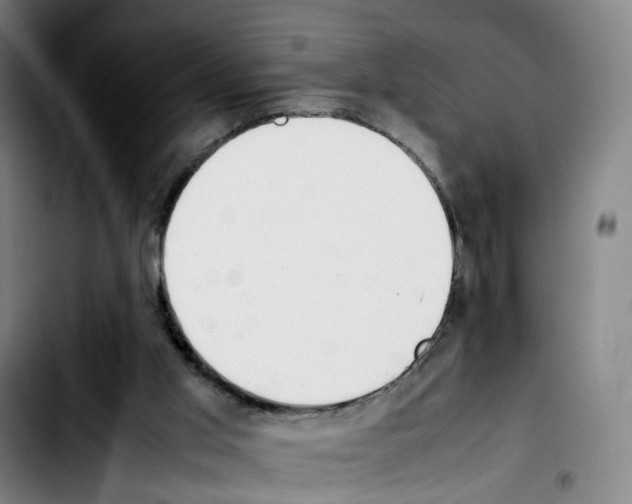 X0000103450013200810241156