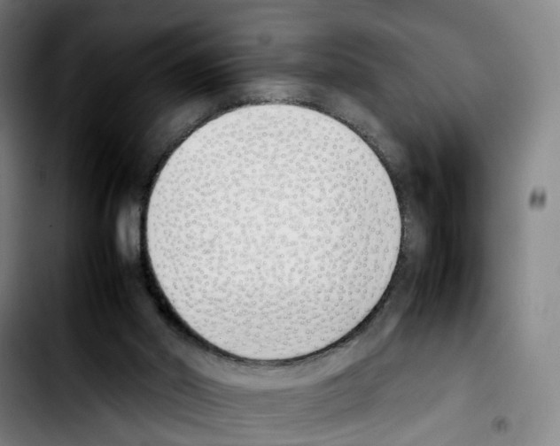 X0000103450014200810241156