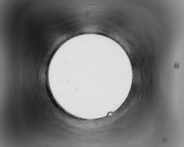 X0000103450015200810241156