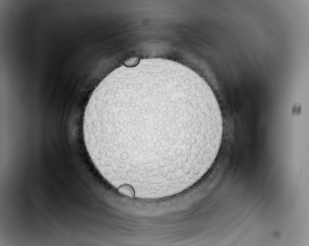 X0000103450018200810241156