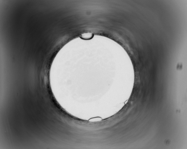 X0000103450019200810241156