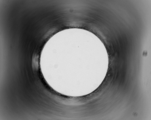 X0000103450020200810241156