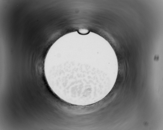 X0000103450023200810241156