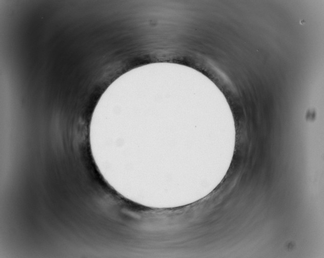 X0000103450025200810241156