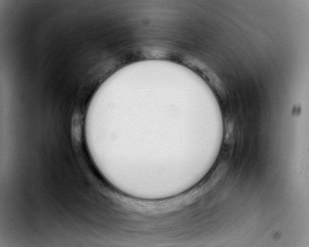 X0000103450026200810241155