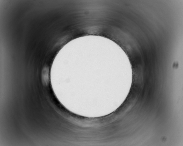 X0000103450028200810241155