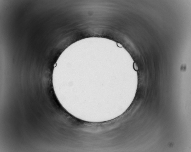 X0000103450029200810241155