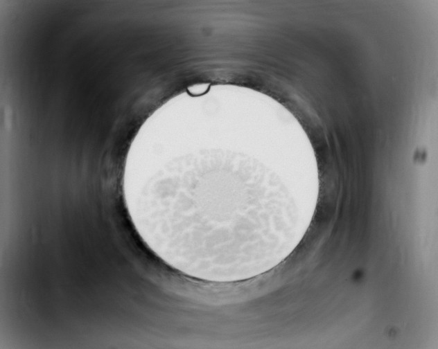 X0000103450031200810241155